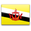 Flag of Brunei