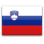 Flag of Slovenya